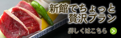 �V�قł�������ґ�v����
